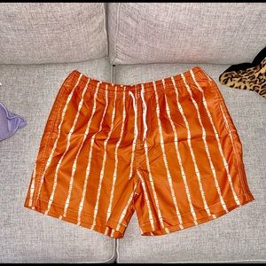 COPY - Mens swim trunks